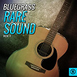 Bluegrass Rare Sound, Vol. 1 | Henry Hudson, Jiggs Hibler