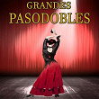 Grandes Pasodobles | Banda Taurina De Madrid