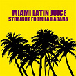 Straight from La Habana | Miami Latin Juice