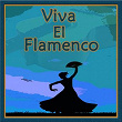 Viva el Flamenco | Alfonso Labrados