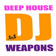 Deep House DJ Weapons | Instrumenjackin, Tropical Flyerz