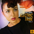 Dance Kings: Electric Tribe, Vol. 4 | Divers