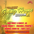 Going Home Riddim, Vol. 2 (Presented by Musical Ambassador & Buzwakk Records) | Bob Andy