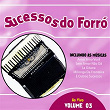 Sucessos do Forró, Vol. 3 (Ao Vivo) | Banda Magníficos