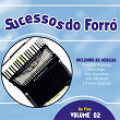 Sucessos Do Forró, Vol. 2 (Ao Vivo) | Banda Amor Perfeito