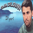 Diyari | Salih Dilovan