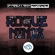 Rogue Ninja | Aera