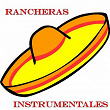 Rancheras Instrumentales | Mariachi Nuevo Jalisco