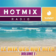 Hotmix Radio Sunny, Vol. 1 (Le mix des hot hits) | Dj Lbr, Papa London