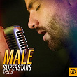 Male Superstars, Vol. 3 | Bryan Tunney
