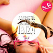 Fantastic Summer Ibiza, Vol. 4 (40 Hot Summer House Tunes) | Artic Night Project