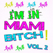 I'm in Miami Bitch!, Vol. 2 | Nu Disco Bitches, Medud Ssa