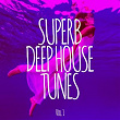 Superb Deep House Tunes, Vol. 1 | Mario Chris, Andrewp
