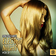 Dance in Flames: Electro Night, Vol. 2 | 4 Grooves