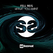 What U Want | Fell Reis