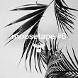 Moosetape, Vol. 6 | Ao River