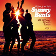 Sunny Beats (20 Groovy House Tunes), Vol. 1 | Luke Winchester