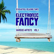 Electronic Fancy (20 Beautiful Relaxing Tunes), Vol. 1 | Robert Janson