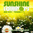 Sunshine, Lollipops and Hits Volume 3 | Eddie Cochran