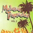 Melodias Tropicales, Vol. 2 | Martín Velasquez