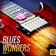 Blues Wonders, Vol. 1 | Dan Pickett