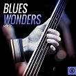 Blues Wonders, Vol. 2 | Johnnie H. Robinson & Group