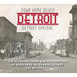 Down Home Blues Detroit (The Definitive Collection of Down Home Blues From Detroit the Motor City) | John Lee Hooker