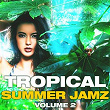 Tropical Summer Jamz, Vol. 2 | Spilulu