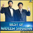 Best of Nadeem Shravan (With Jhankar Beats) | Alka Yagnik, Mohammed Aziz