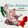 Puro Mexicano | Mariachi Arriba Juárez
