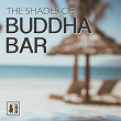 The Shades of Buddha Bar | Francesco Digilio