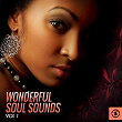 Wonderful Soul Sounds, Vol. 1 | Andre Williams Sadies