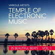 Temple Of Electronic Music (25 Beautiful Beats), Vol. 1 | Dj Nuke