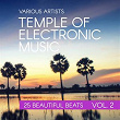 Temple Of Electronic Music (25 Beautiful Beats), Vol. 2 | News Courage