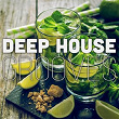 Deep House Grooves (Tropical, Deep and Afro) | Pedro Melo