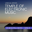 Temple Of Electronic Music (25 Beautiful Beats), Vol. 3 | Database Pluto