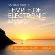 Temple Of Electronic Music (25 Beautiful Beats), Vol. 4 | Global Bite