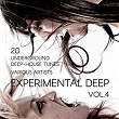 Experimental Deep (20 Underground Deep-House Tunes), Vol. 4 | Blue Network