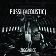 Pussi (Acoustic Version) (feat. Jayson Creer) | Ziggarice