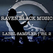 Raven Black Music Label Sampler, Vol. 2 | V0id