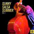 Sunny Salsa Summer, Vol. 1 | Los Van Van