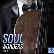 Soul Wonders, Vol. 3 | The Vells