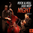 Rock & Roll Doo Wop Night, Vol. 3 | The Franciscans