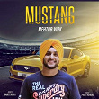 Mustang | Mehtab Virk