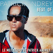 Best Of (Le meilleurs de Patrick Andrey) | Patrick Andrey