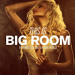 This Is Big Room By Francesco Diaz & Young Rebels | Francesco Diaz, Young Rebels
