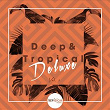 Deep & Tropical Deluxe, Vol. 1 | Ipanov