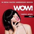 WOW! (20 Special Selected Underground Grooves), Vol. 1 | Mark Falker