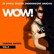 WOW! (20 Special Selected Underground Grooves), Vol. 4 | Samuel Grand