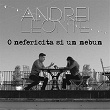 O Nefericita Si Un Nebun | Andrei Leonte